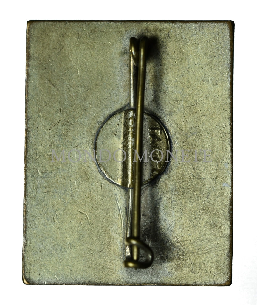 4° Alpini Distintivi E Spille