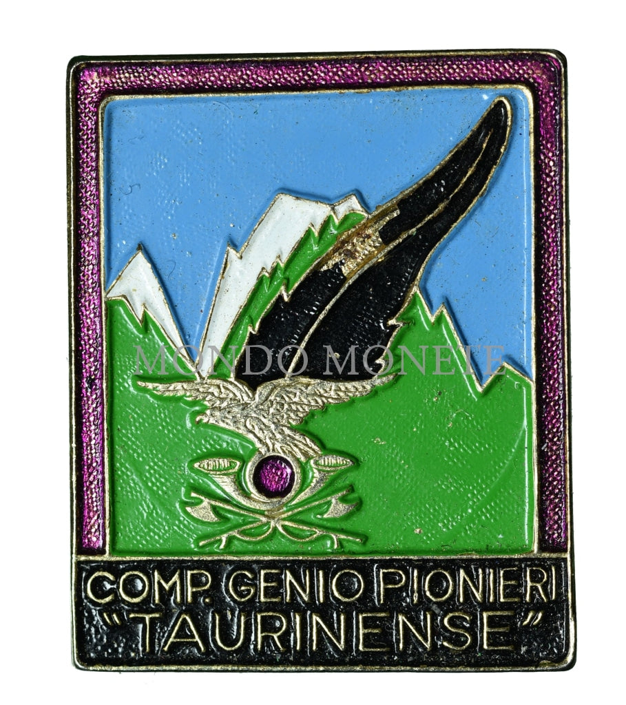 Comp. Genio Pionieri Taurinensi Distintivi E Spille