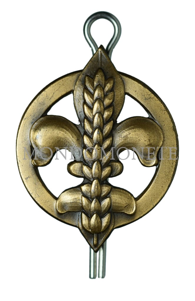 Fregio Scout Distintivi E Spille