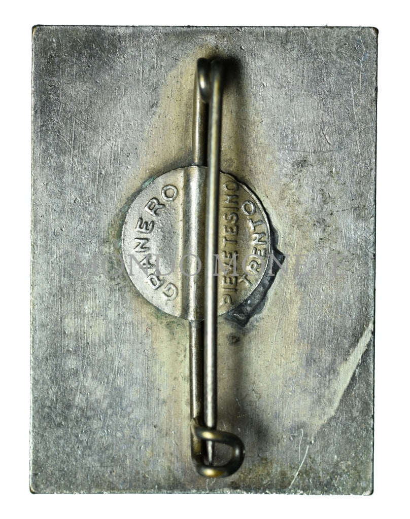 Granero 5° Vestone Distintivi E Spille