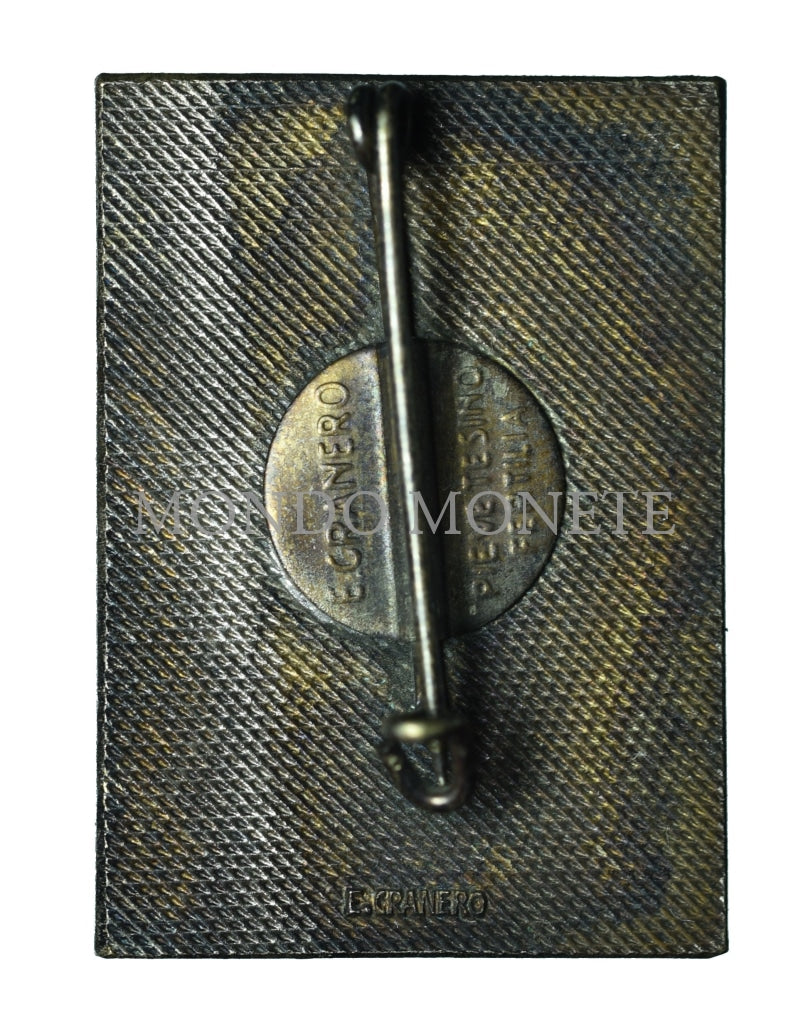 Vii Battaglione Trasmissioni Di C. A. Distintivi E Spille