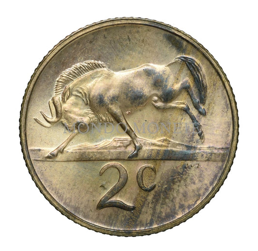 South Africa 2 Cents 1974 Monete Da Collezione